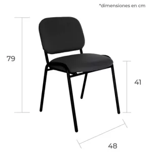 Silla de vista tapizada, 45 cm (ancho), soporta 80kg, negro