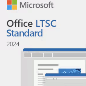 Office LTSC Standard 2024 (NCE COM BAS PER 1TM) Uso