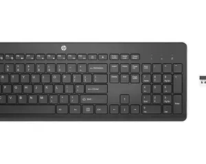 Combo Hp Teclado Y Mouse Inalámbrico Hp 235 1y4d0aa Mouse Negro Teclado Negro